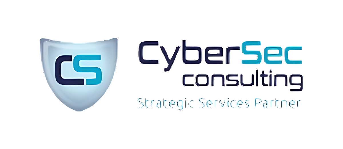 CyberSec Consulting